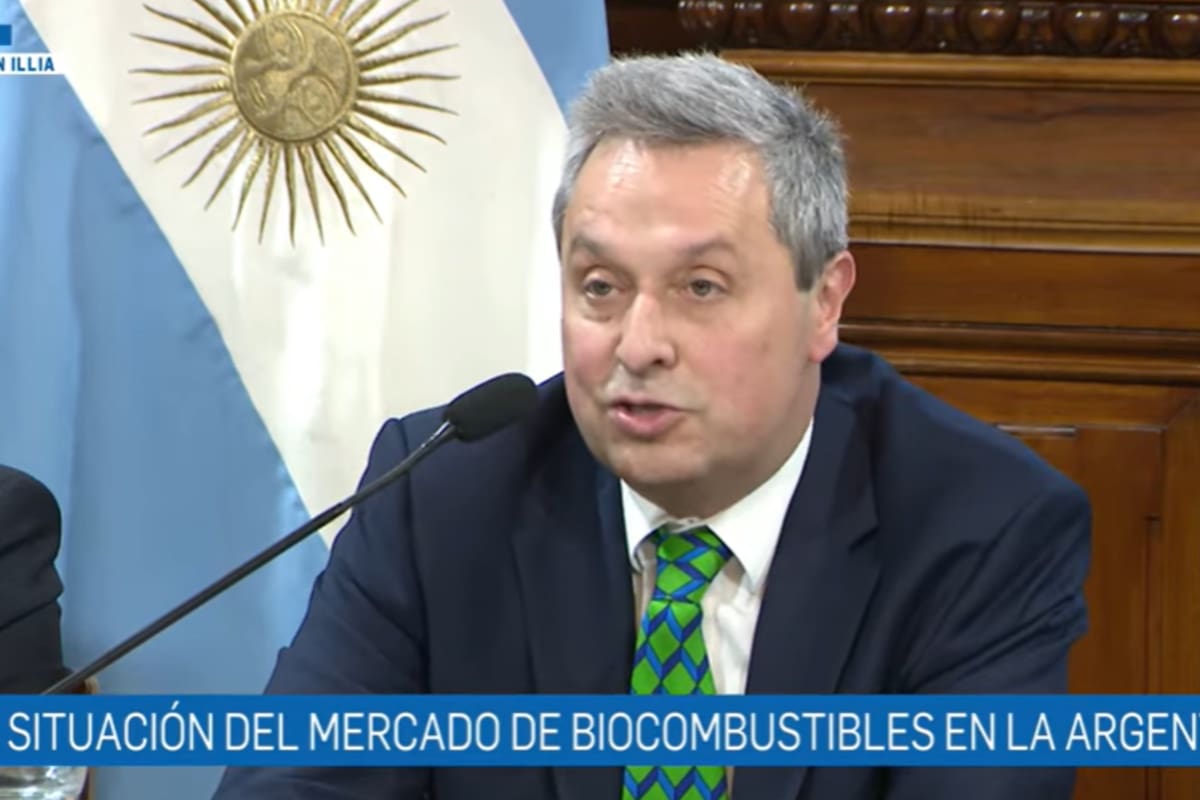 Biocombustibles: empresarios presentan un diagnóstico crítico en el Senado sobre el estado del sector