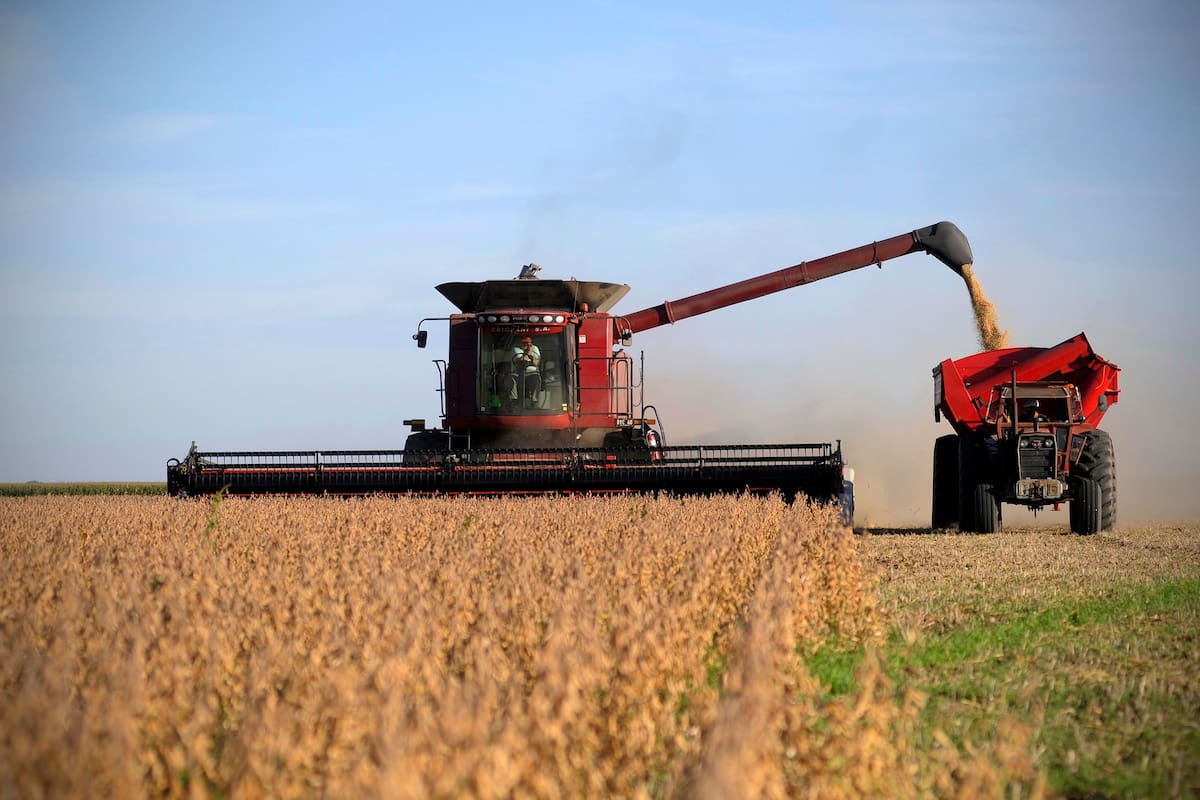 Presión de los exportadores y la suba del tipo de cambio elevaron el precio de la soja disponible