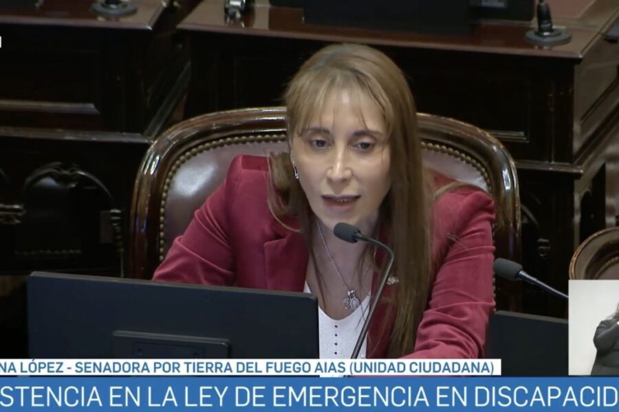 El impacto de “Alta coimera” resuena en el Senado durante la sesión sobre Discapacidad