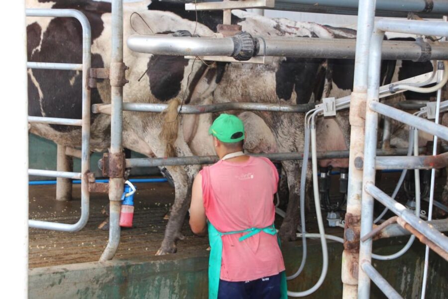 Santa Fe impulsa un resurgimiento en la lechería con nuevas estrategias y crecimiento en la producción.