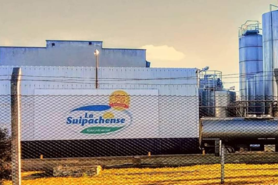 Crisis en planta láctea histórica: producción detenida y sueldos impagos para los trabajadores
