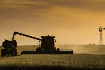 El Gobierno eliminará las retenciones para granos hasta el 31 de octubre, beneficiando a productores agrícolas.