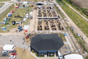 Remates de hacienda programados para la Semana Angus: fechas y detalles clave