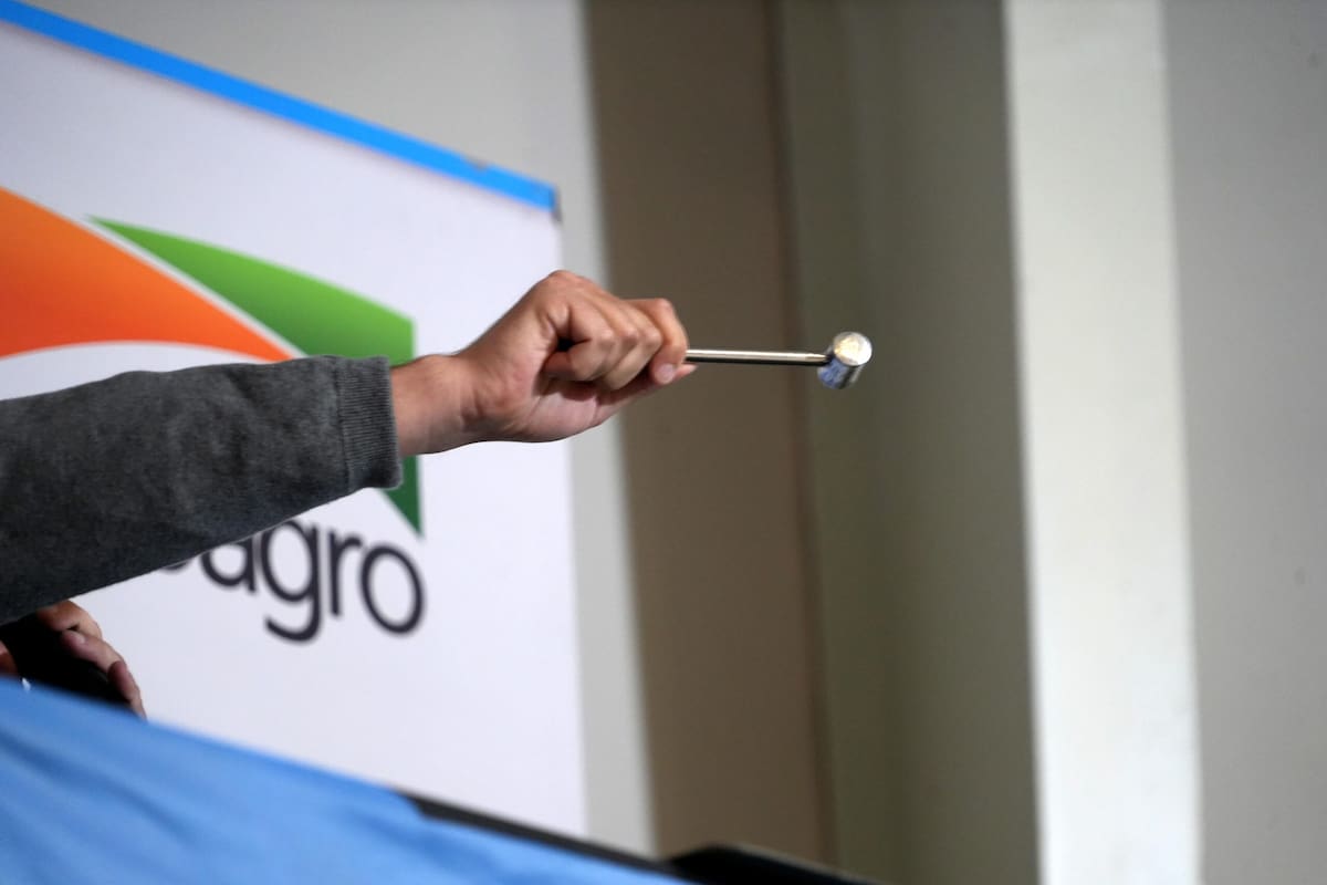 Ventas ágiles marcan las subastas ganaderas en Cañuelas