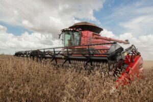 Productores esperan aumentar comercialización tras medida del Gobierno, aunque expresan ciertas reservas