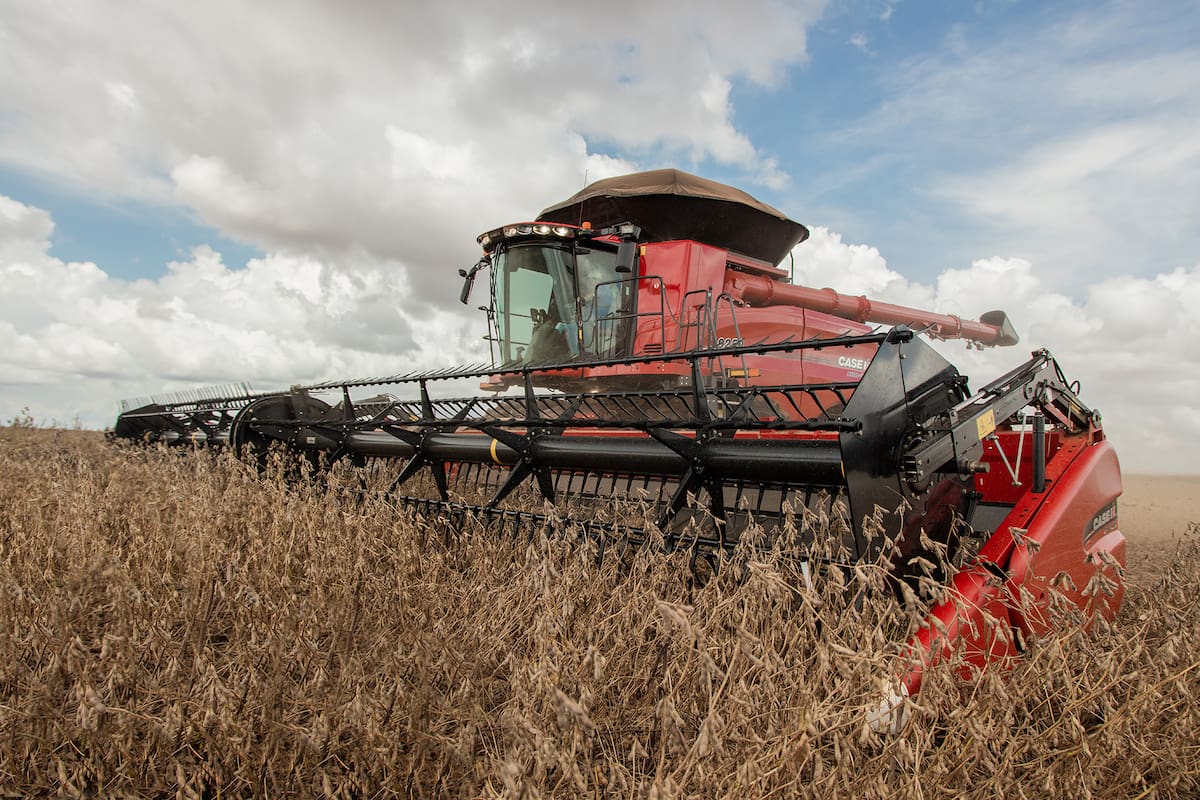 Productores esperan aumentar comercialización tras medida del Gobierno, aunque expresan ciertas reservas