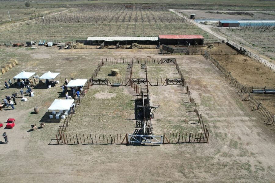 Tras un reclamo histórico, se creó una iniciativa novedosa para las vacas