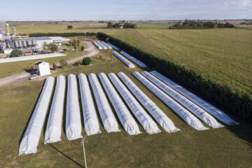 La volatilidad cambiaria frena la decisión de los productores sobre la venta de granos