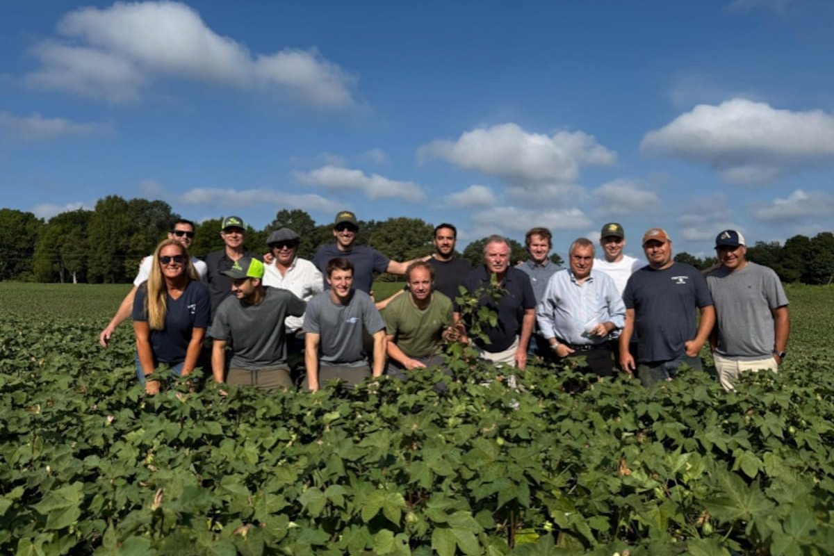 Argentina y Estados Unidos: un análisis de la distancia en producción agrícola y su impacto en el futuro cultivable.