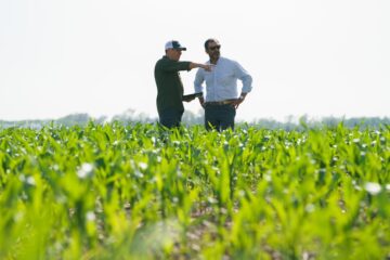 Estrategias clave para asegurar el éxito en tu campaña