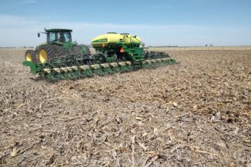 Soja busca recuperar terreno en 2026 ante un panorama de caídas en el maíz