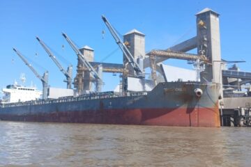 El campo requiere previsibilidad más allá de los supuestos beneficios temporales que se han señalado