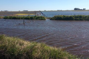 Inundaciones en el centro oeste de Buenos Aires: una crisis sin fin para la población afectada