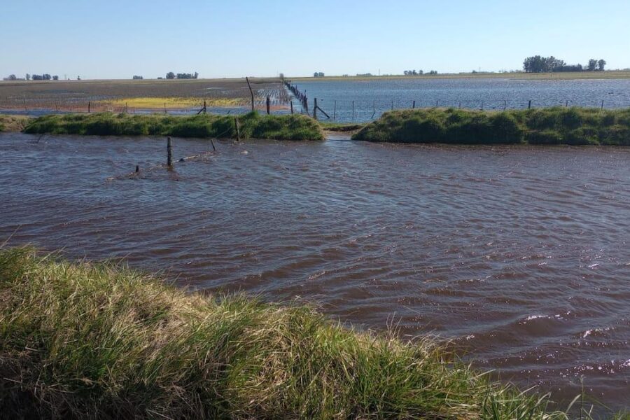 Inundaciones en el centro oeste de Buenos Aires: una crisis sin fin para la población afectada