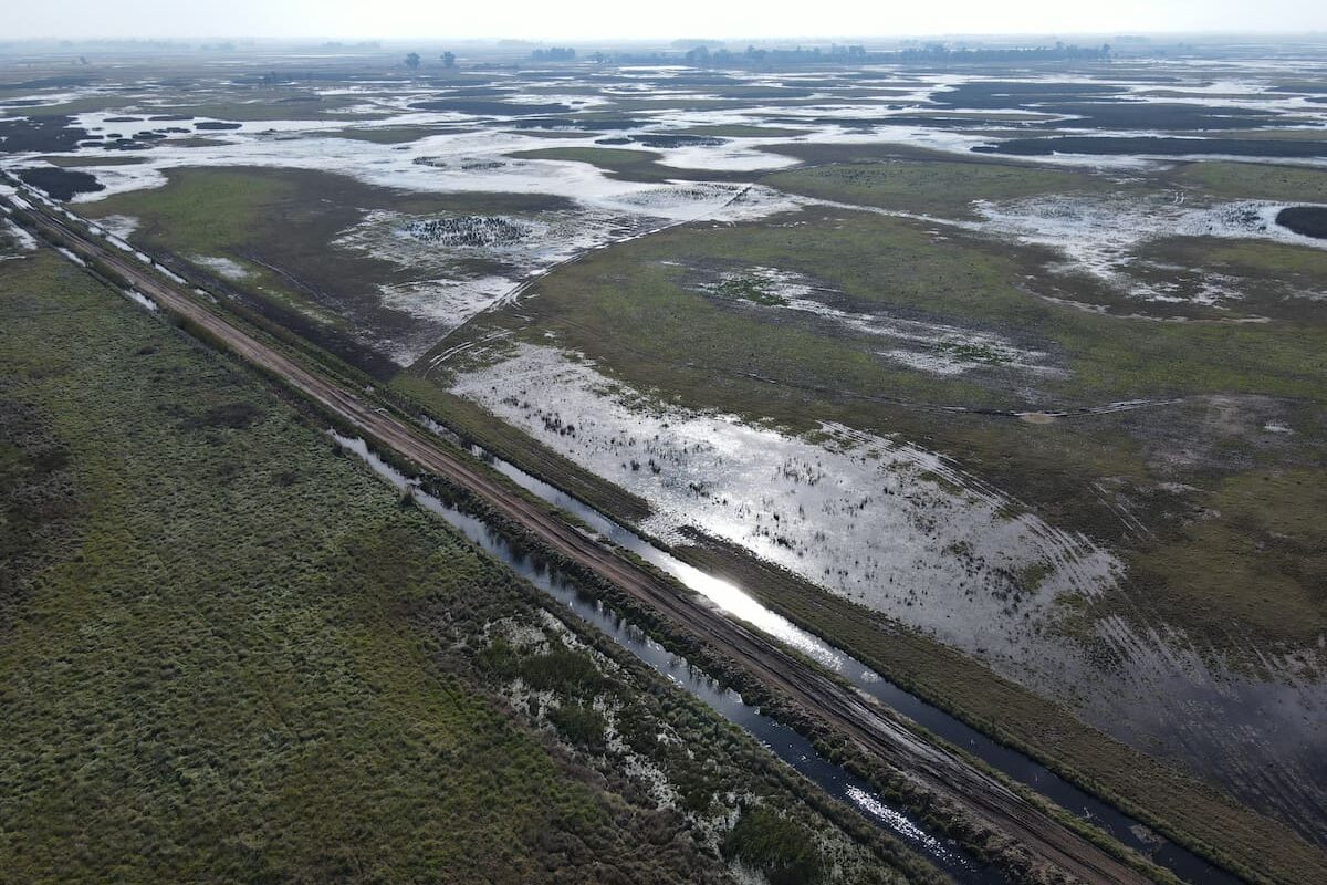 Presentaron denuncia penal contra dos intendentes bonaerenses por las inundaciones