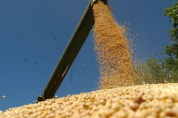 se espera una semana tensa mientras crecen las expectativas por la reunión con el campo