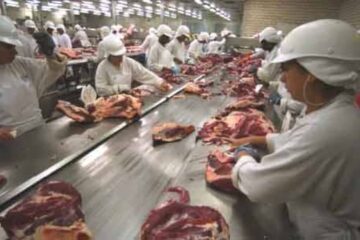 exportadores de carne advierten sobre la imposibilidad de beneficiarse de la suspensión de retenciones