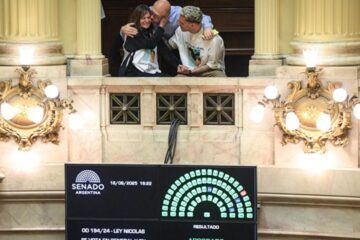 Carmen Álvarez Rivero se opone en solitario a la “Ley Nicolás” al ser la única senadora en votar en contra