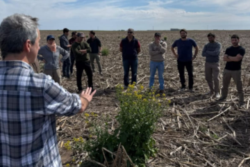 Las malezas evolucionan: lecciones para la adaptación humana en un mundo cambiante.