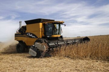 El impacto de resolver deudas en la productividad agrícola de Argentina: un análisis vital para el sector