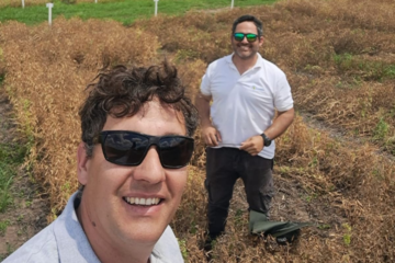 Arveja y maíz: la fusión perfecta de innovación y sabor en la agricultura moderna