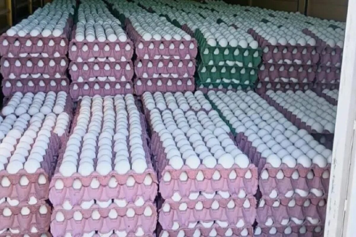 Decomisan 36 mil huevos transportados sin la documentación adecuada
