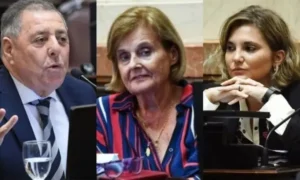 Así votaron los senadores entrerrianos el veto presidencial a la Ley de Emergencia en Discapacidad