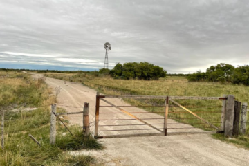 dudas en el mercado por medida del gobierno y el consejo de los especialistas