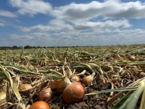 Caída drástica en las exportaciones: economía afectada con grandes volúmenes de productos sin vender y pérdidas económicas