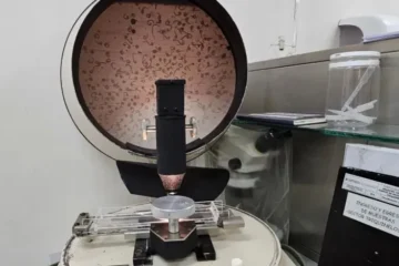 Decomisan más de 40 kilos de carne de jabalí contaminada con Triquinosis en operativo de salud pública