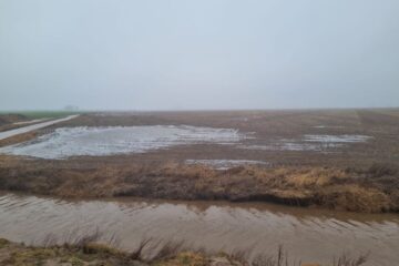 El clima amenaza con activar alarmas por los nuevos factores de riesgo en su impacto global