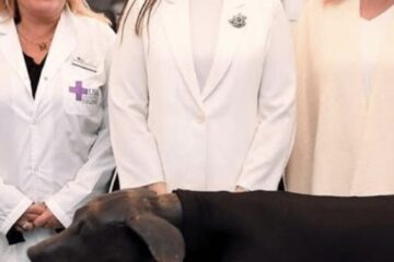 Victoria Villaruel se suma a la moda de posar en fotos con perros