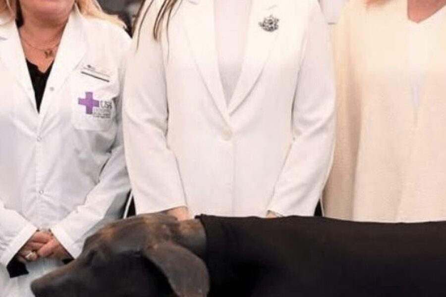 Victoria Villaruel se suma a la moda de posar en fotos con perros