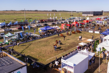 Cañuelas se alista para recibir la CUMBRE de la ganadería con importantes invitados y debates sobre el sector.