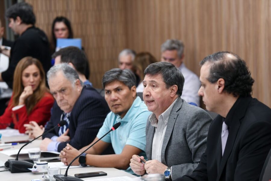 La oposición no da tregua con Discapacidad y pone la lupa en la ANDIS