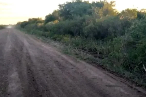 Restos hallados: la fiscal explicó por qué podrían tratarse del cuerpo del chofer asesinado por Pablo Laurta