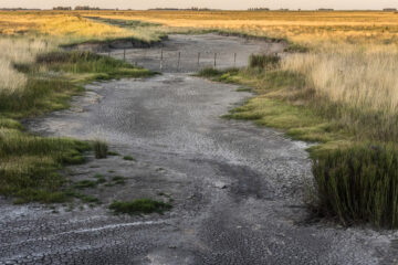 La Forestal y La Casado: historias paralelas 