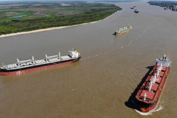 Política, cerealeras y el Magdalena…