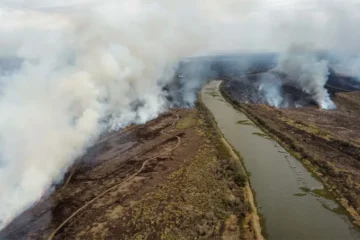 la cámara federal confirmó la competencia del juzgado de victoria en la causa de los incendios en el delta