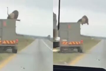 León se escapa y salta de un vehículo en marcha: debate político sobre controles, seguridad y responsabilidad estatal