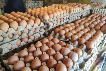 Boom de consumo de huevos en Argentina: se transformó en el segundo alimento más importante en la dieta y avanzan en un nuevo envase