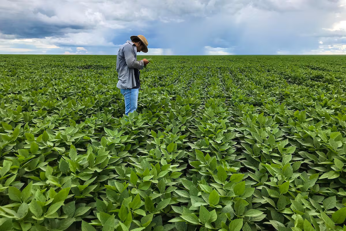 Dos gigantes del agro ingresaron al negocio de los biológicos
