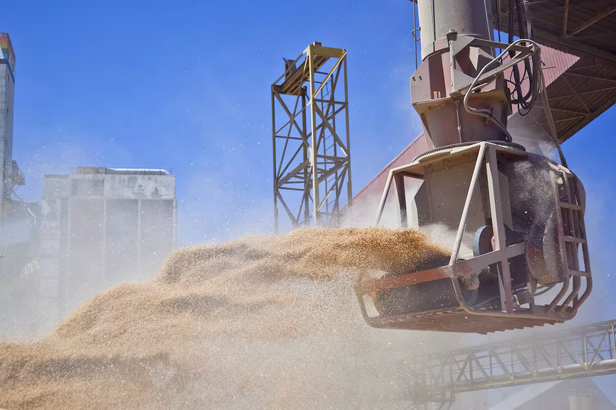 Nueva oportunidad: el megaswap que puede otorgar respaldo al campo