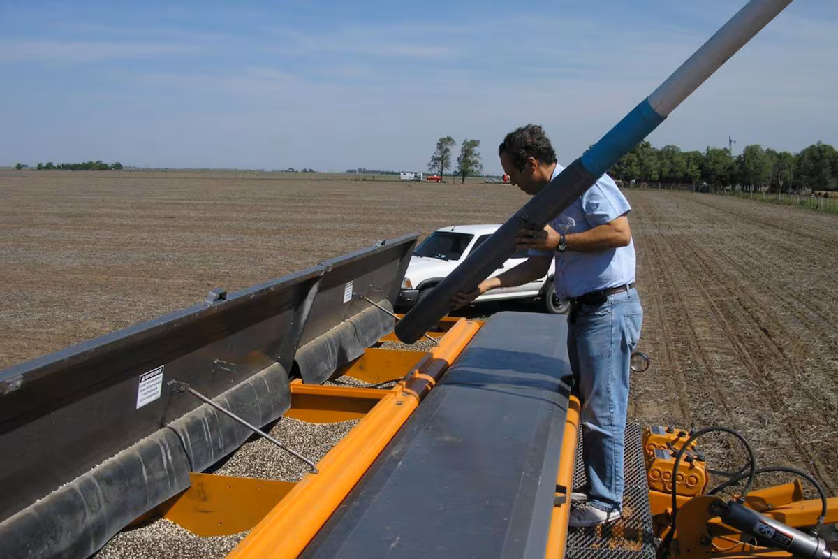 Mejora en la ecuación de costos y crece la expectativa por el uso de fertilizantes