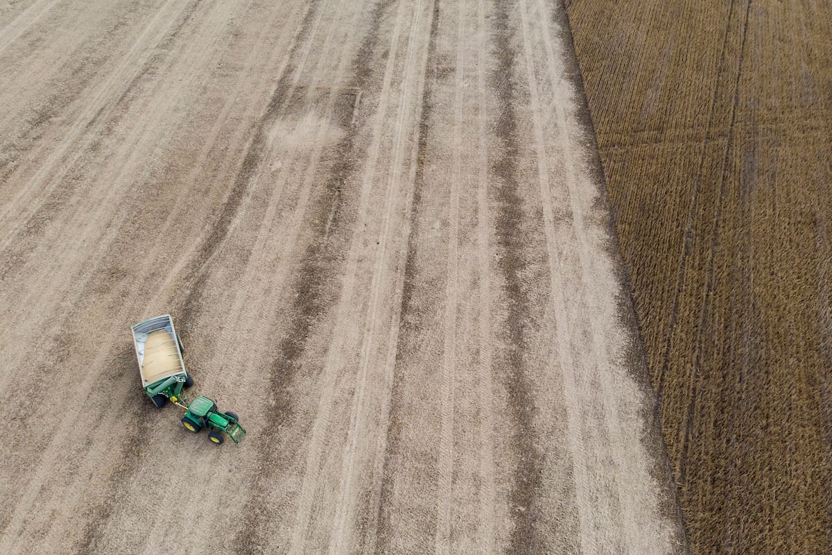 El campo teme derrota del gobierno y retorno del populismo en 2027