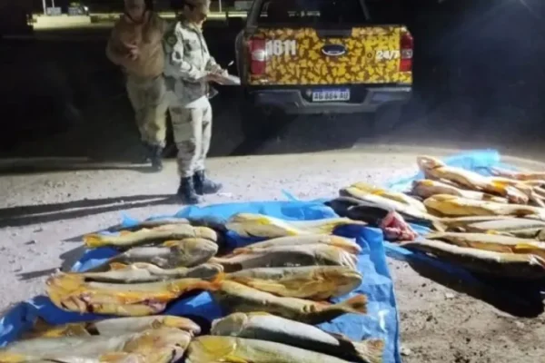 Villaguay: decomisaron más de 400 kg de pescado en operativo de control; secuestraron 29 dorados y 4 surubíes