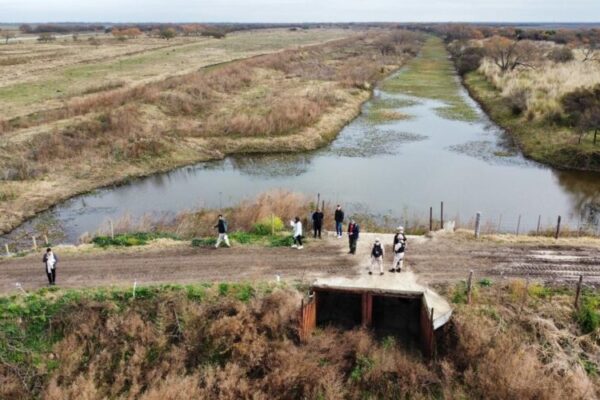 Advierten terraplenes ilegales obstruyendo humedales en el Delta