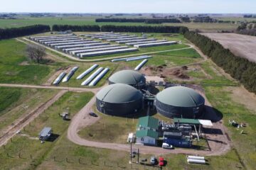 El desafío de una porcicultura sostenible: equilibrio entre productividad, bienestar animal y medio ambiente