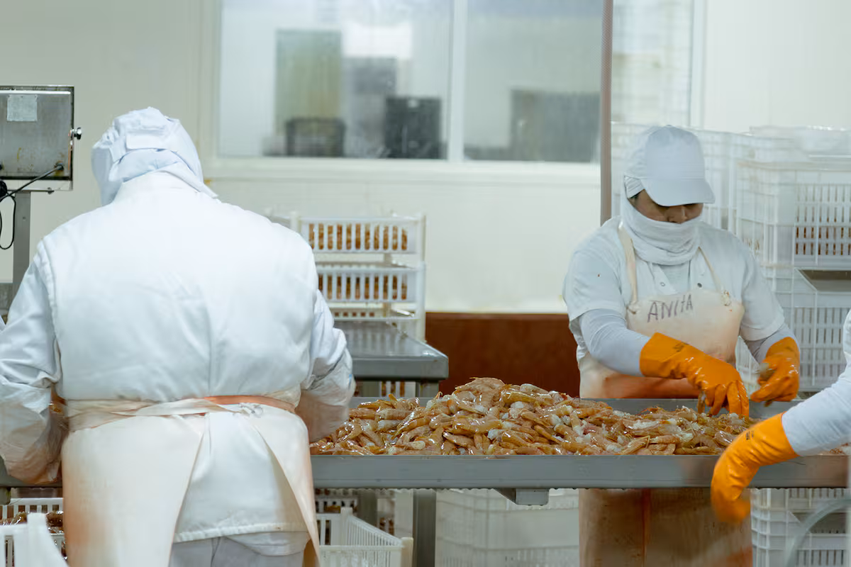 Un sector clave busca capitalizar la tensión entre Brasil y Estados Unidos para conquistar su mercado