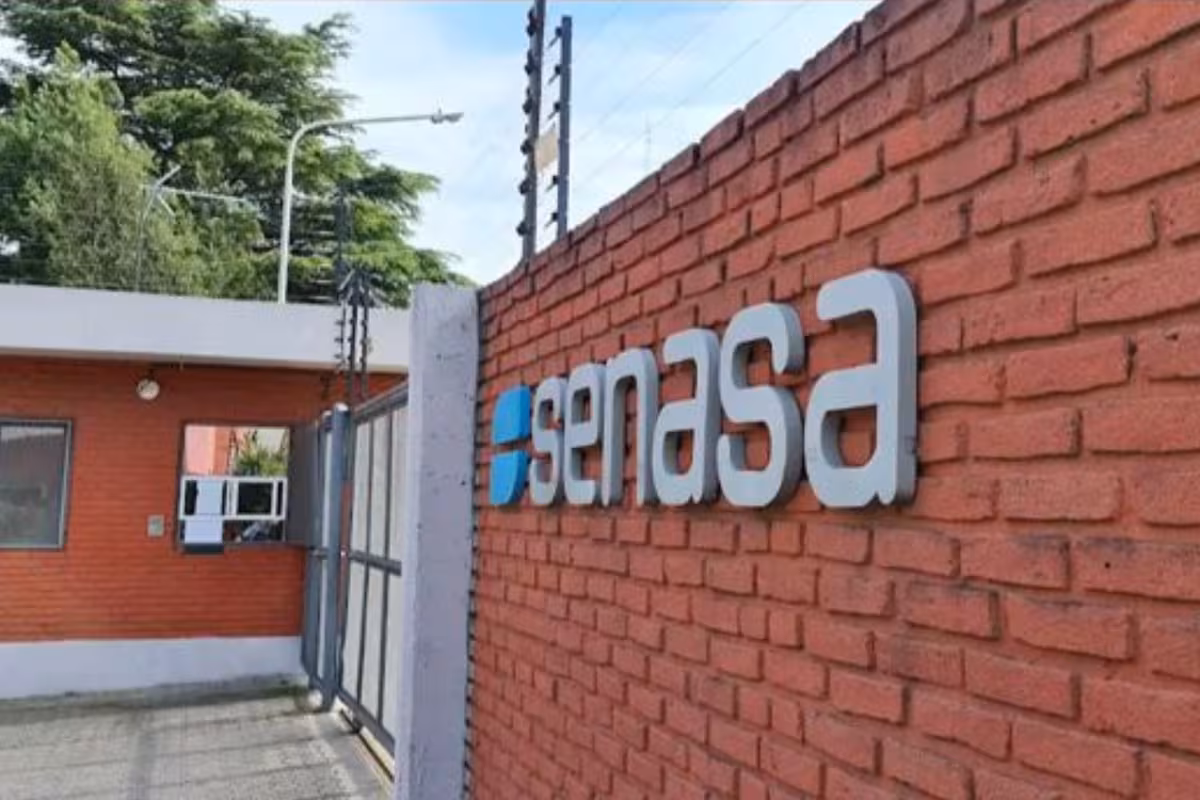 Exportadores de alimentos advierten que el Tesoro se queda con el 40% de los recursos del Senasa